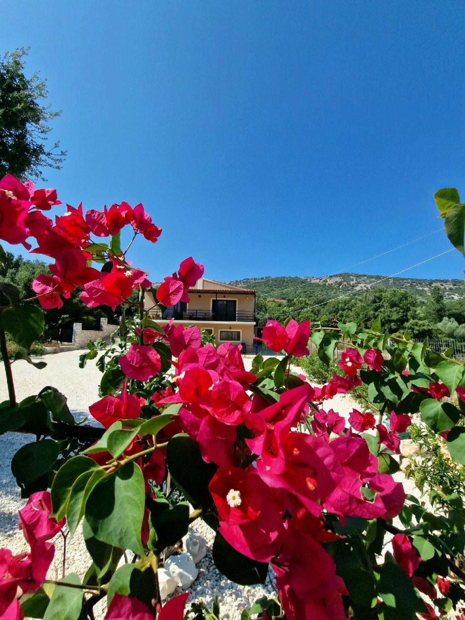 Apartment Primavera